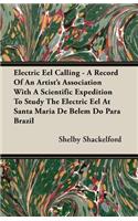 Electric Eel Calling - A Record of an Artist's Association with a Scientific Expedition to Study the Electric Eel at Santa Maria de Belem Do Para Braz