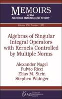 Algebras of Singular Integral Operators with Kernels Controlled by Multiple Norms