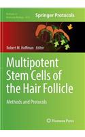 Multipotent Stem Cells of the Hair Follicle