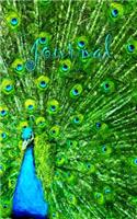 Journal: Impressionist Peacock