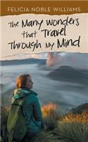 The Many Wonders That Travel Through My Mind