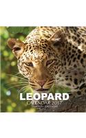 Leopard Calendar 2017: 16 Month Calendar