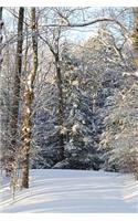 Sunlight Shadows Winter Day Journal: (Notebook, Diary, Blank Book)