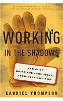 Working in the Shadows