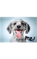Rescue Me!