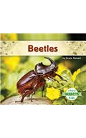 Beetles