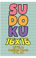 Sudoku 16 x 16 Level 3: Medium Hard! Vol. 40: Play 16x16 Grid Sudoku Medium Hard Level Volume 1-40 Solve Number Puzzles Become A Sudoku Expert On The Road Paper Logic Games