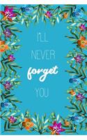 I'll Never Forget You