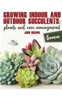 Growing Indoor and Outdoor Succulents