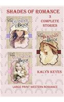 Large Print Western Romance