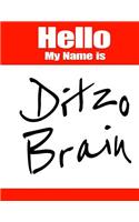 Hello My Name Is Ditzo Brain: Funny Phrase Discreet Internet Website Password Organizer Book