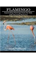 Flamingo: Fascinating Flamingo Facts for Kids with Stunning Pictures!