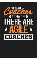 There Are Coaches and Then There are Agile Coaches