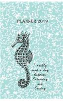 Planner 2019 I Really Need a Day Between Saturday and Sunday