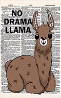No Drama Llama