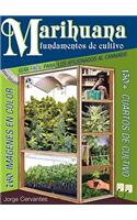 Marihuana Fundamentos de Cultivo