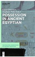 Possession in Ancient Egyptian: (1 The Mouton Companions to Ancient Egyptian)
