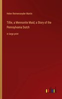 Tillie, a Mennonite Maid; a Story of the Pennsylvania Dutch: in large print