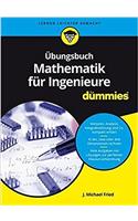 Übungsbuch Mathematik für Ingenieure für Dummies