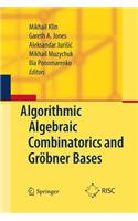 Algorithmic Algebraic Combinatorics and Gröbner Bases