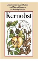 Kernobst