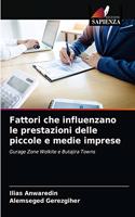 Fattori che influenzano le prestazioni delle piccole e medie imprese