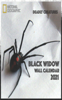 Black Widow Wall Calendar 2021