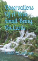 Observations Of A Wee Small Being On Earth