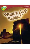 Oxford Reading Tree: Level 15: TreeTops Non-Fiction: What's Left Behind?