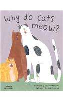 Why do cats meow?