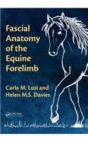 Fascial Anatomy of the Equine Forelimb