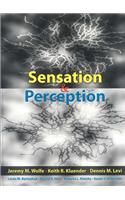 Sensation & Perception