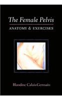 Female Pelvis: Anatomy and Exercises: Anatomy and Exercises
