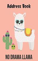 No Drama Llama Address Book