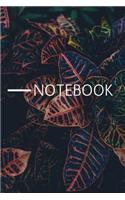 Notebook