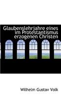 Glaubenslehrjahre Eines Im Protestantismus Erzogenen Christen: (German)