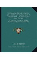 Common Native Insects Of South Australia, Part 2, Lepidoptera, Or Butterflies And Moths