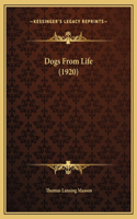 Dogs From Life (1920)