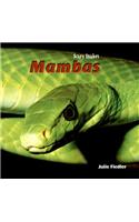 Mambas