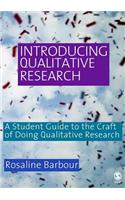 Introducing Qualitative Research