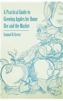 Practical Guide to Growing Apples for Home Use and the Market