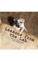 Lessons from the Lab