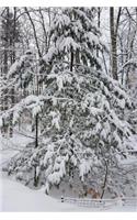 Woods After Snowstorm Winter Weather Journal: (Notebook, Diary, Blank Book)