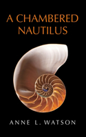 Chambered Nautilus