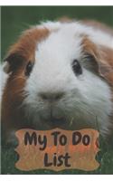 My To Do List: 6 x 9 inches - 75 pages of to do lists - Guinea Pig Cover