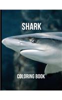 Shark Coloring Book: Coloring Toy Gifts for Kids, Toddlers or Adult Relaxation - Large Print Ocean Animals Birthday Party Favors Gifts Made in USA