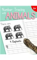 Number Tracing With Animals