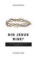 Did Jesus Rise?