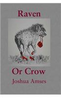 Raven or Crow