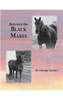 Between the Black Mares